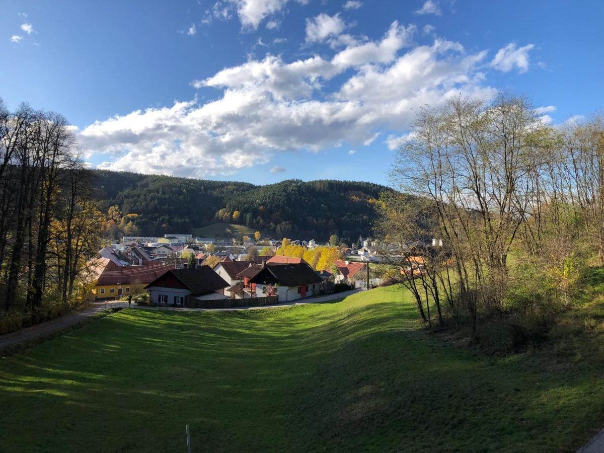 Apartamento Haus Am Schloss Bleiburg Exterior foto